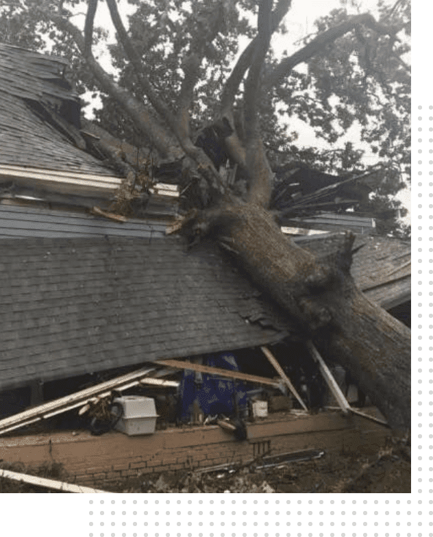 A tree that has fallen on the roof of a house.